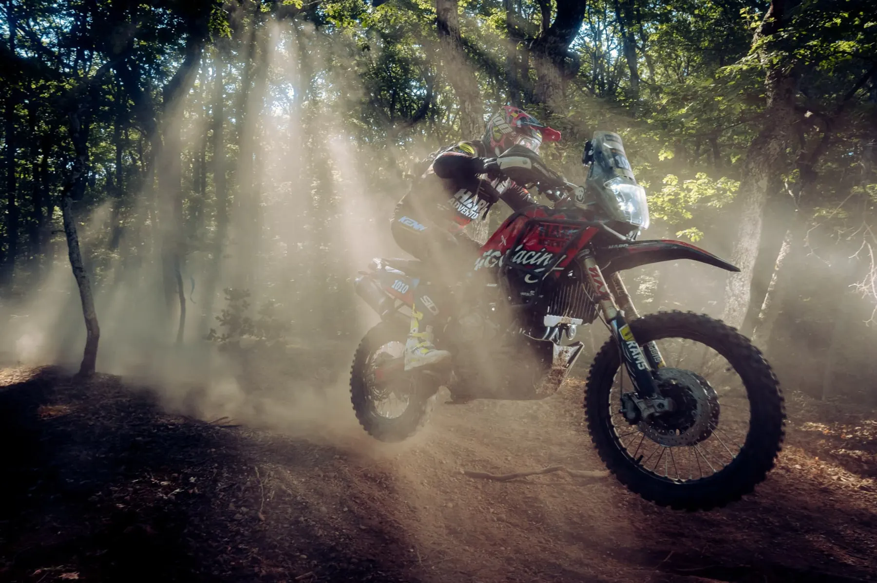 Rider on an adventure bike in a dusty forest lit by shafts of sunlight